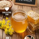 Les bienfaits du miel de colza sur le cholestérol, l’énergie durable et la récupération sportive