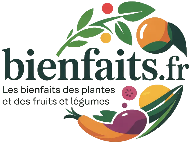 Les bienfaits des plantes et des fruits et légumes