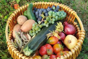 Panier de fruits et légumes pour 4 personnes : comment bien choisir son offre à lyon