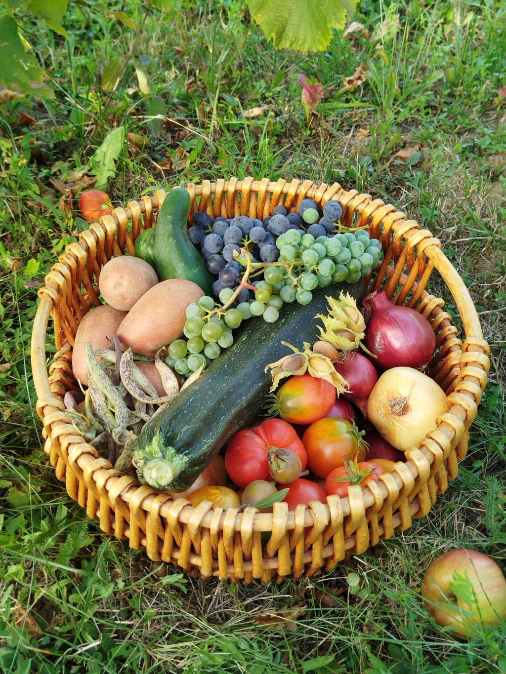 Panier de fruits et légumes pour 4 personnes : comment bien choisir son offre à lyon